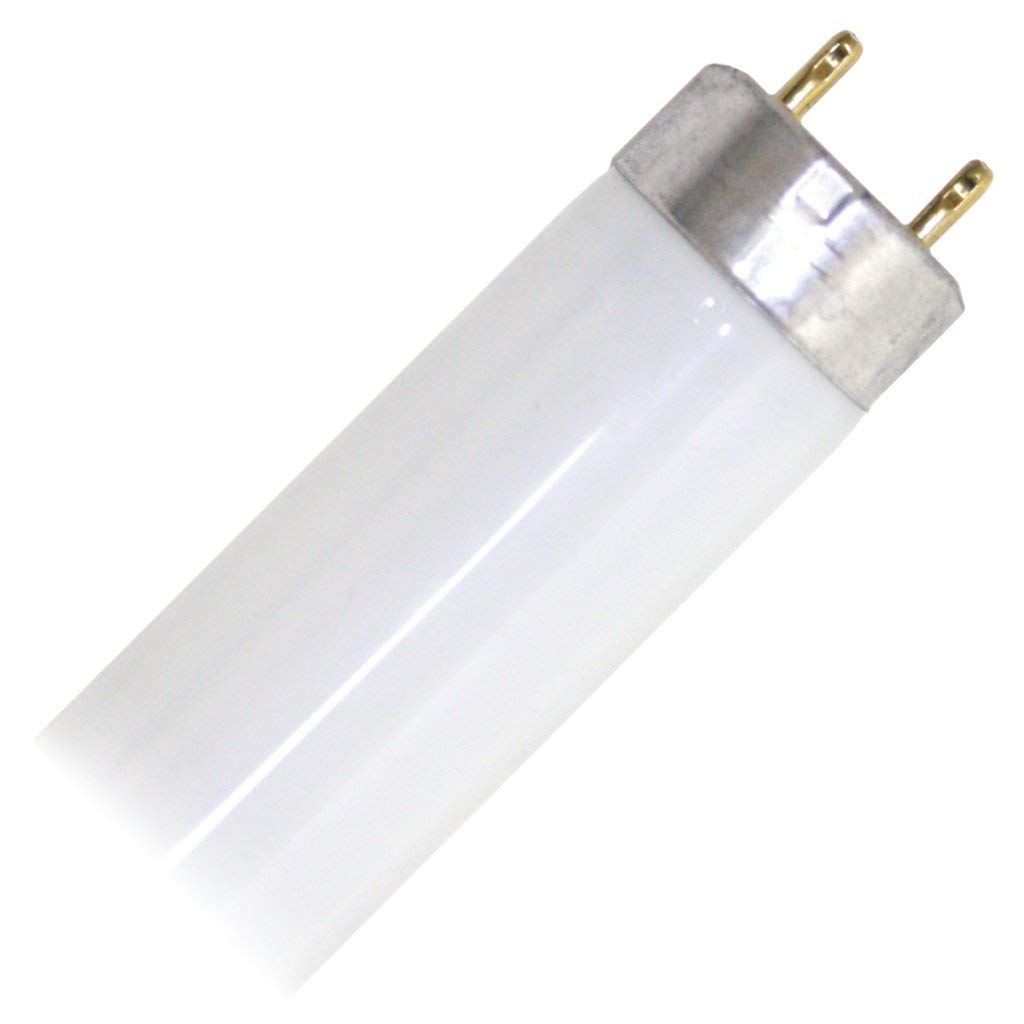 Fluorescent Tube Light Bulb B73163