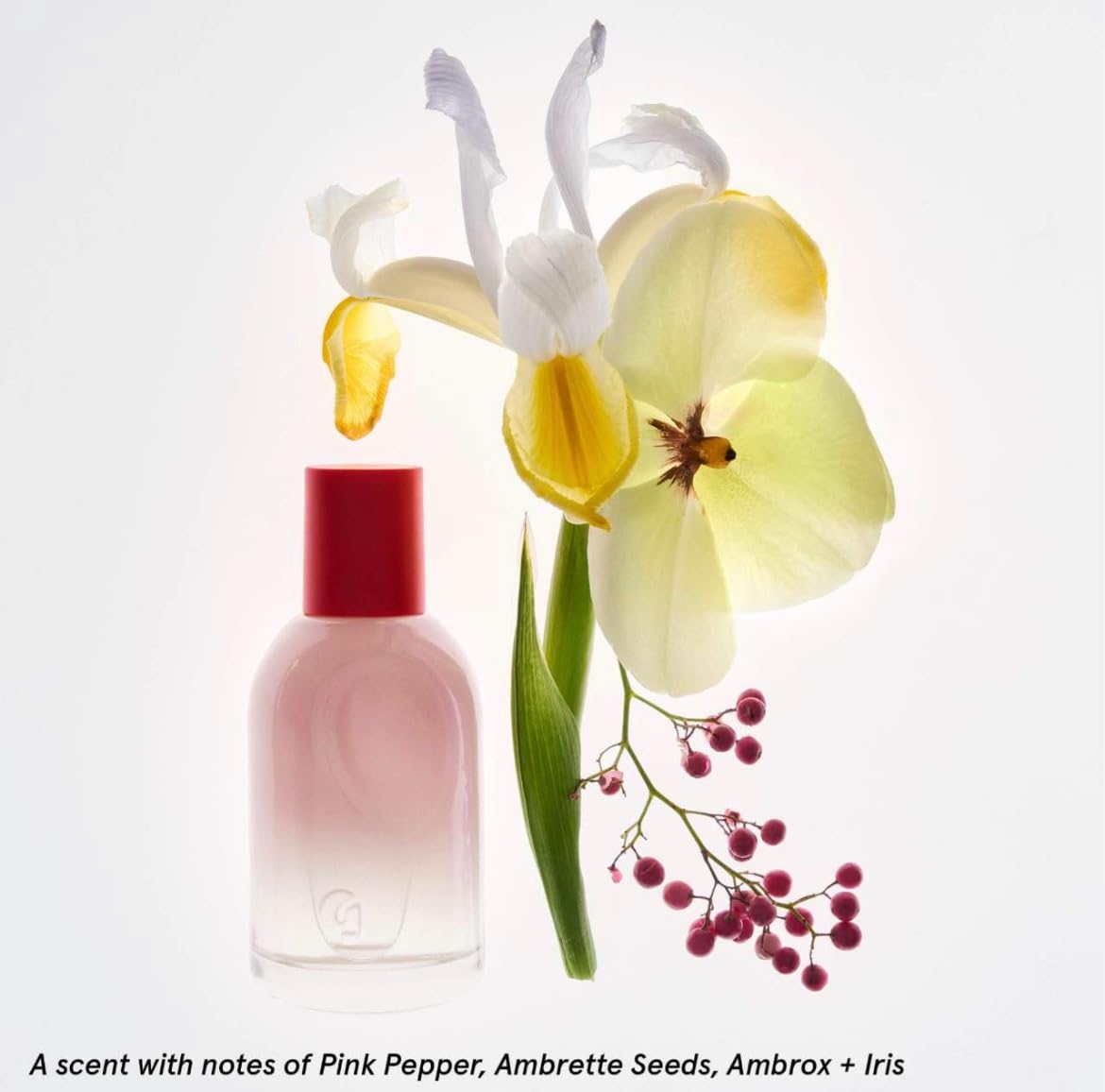 Eau de Parfum Holiday Gift Set Full Size Spray 1.7oz and Travel Size Rollerball 0.27oz I7808