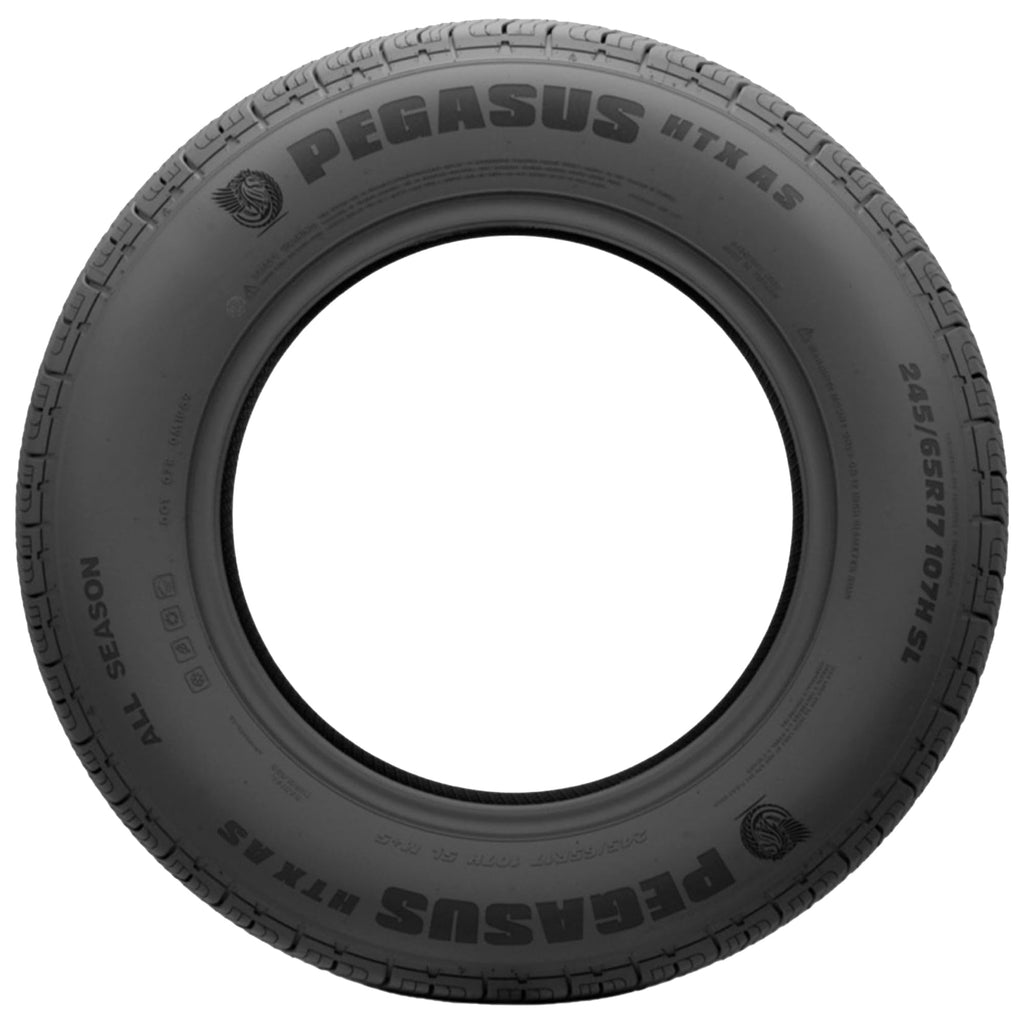 275/55R20 117H XL Light Truck Tire Z6851