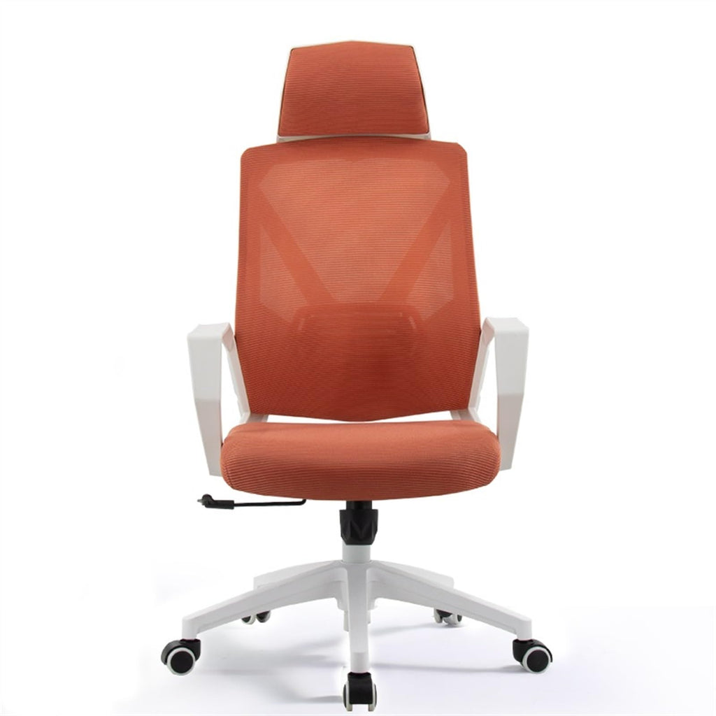 Ergonomic Mesh High Back Office Chair with Pillow D1481