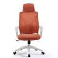 Ergonomic Mesh High Back Office Chair with Pillow D1481