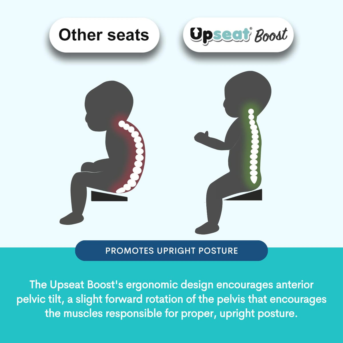 Ergonomic Toddler Booster Seat D332