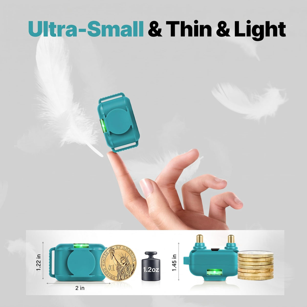 Small Cat Training Collar with Remote K686235