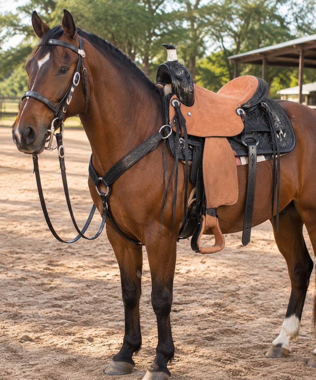 Argentina Cow Leather Saddle Set with Headstall, Reins & Breastplate H468