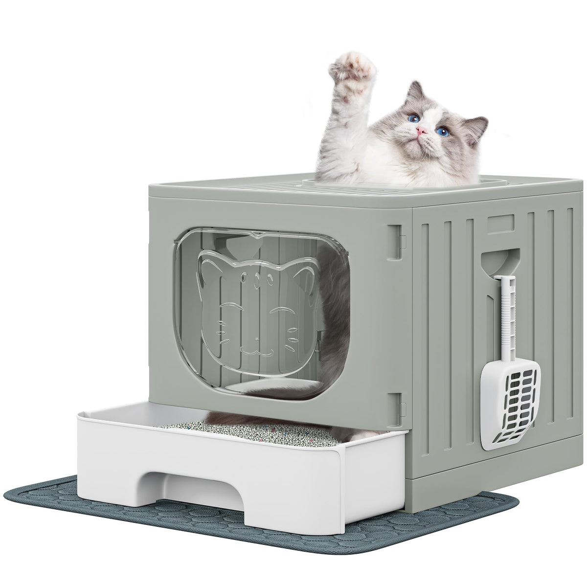 Large Enclosed Cat Litter Box with Lid B20160