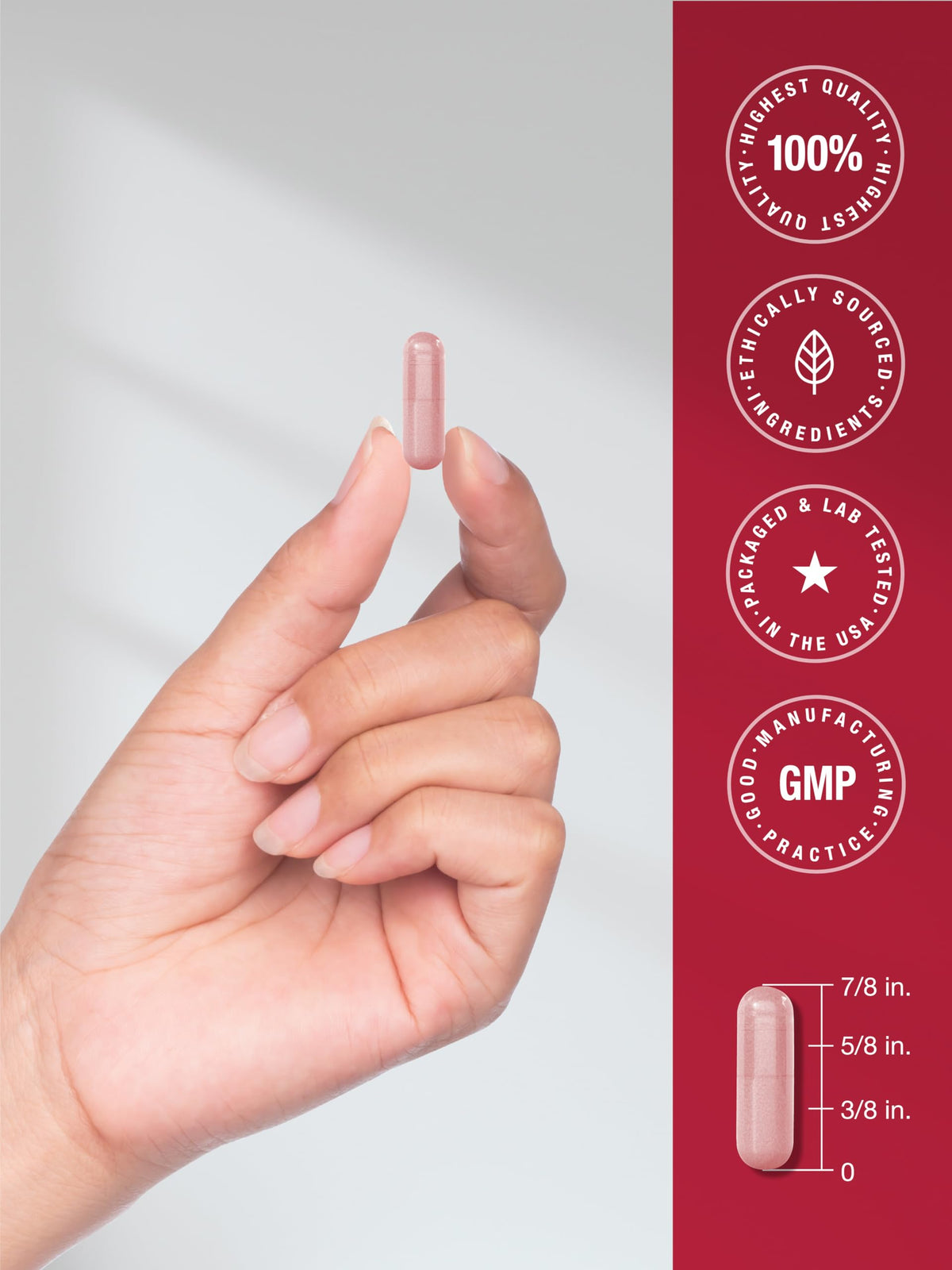 Beet Root Capsules 180 Count A8553