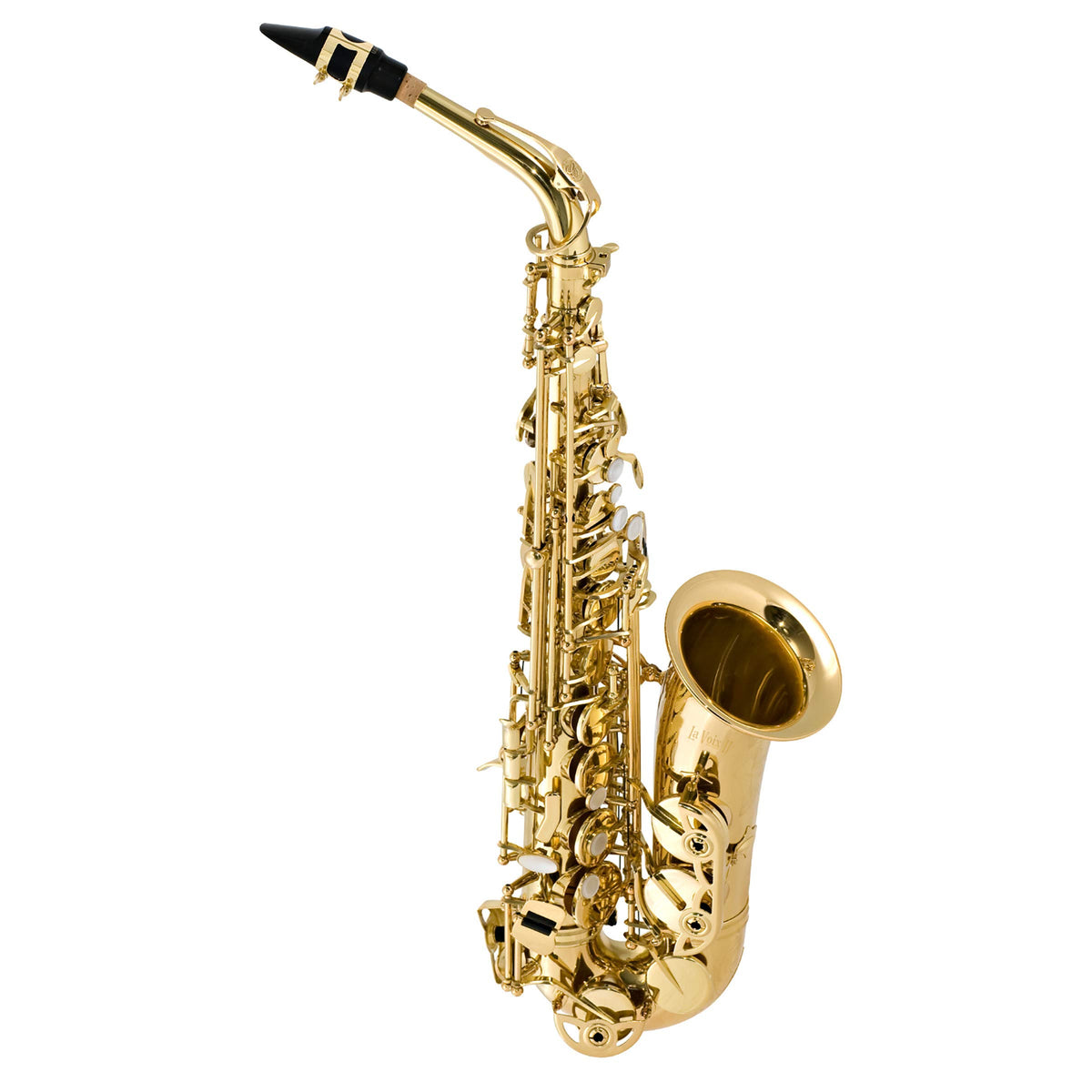 Alto Saxophone Outfit I260