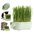 Hydroponic Cat Grass Growing Kit with Germination Tray U601593