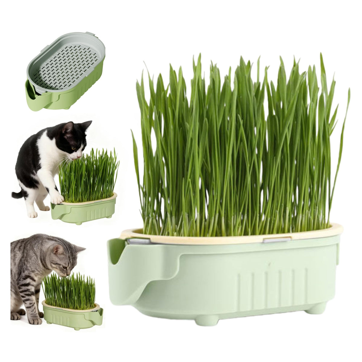 Hydroponic Cat Grass Growing Kit with Germination Tray U601593