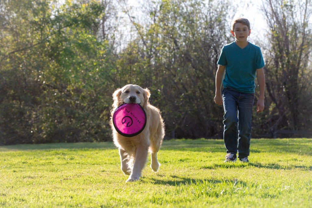 Soft Dog Toy Flying Disc 9 Inch 5 Pack V560
