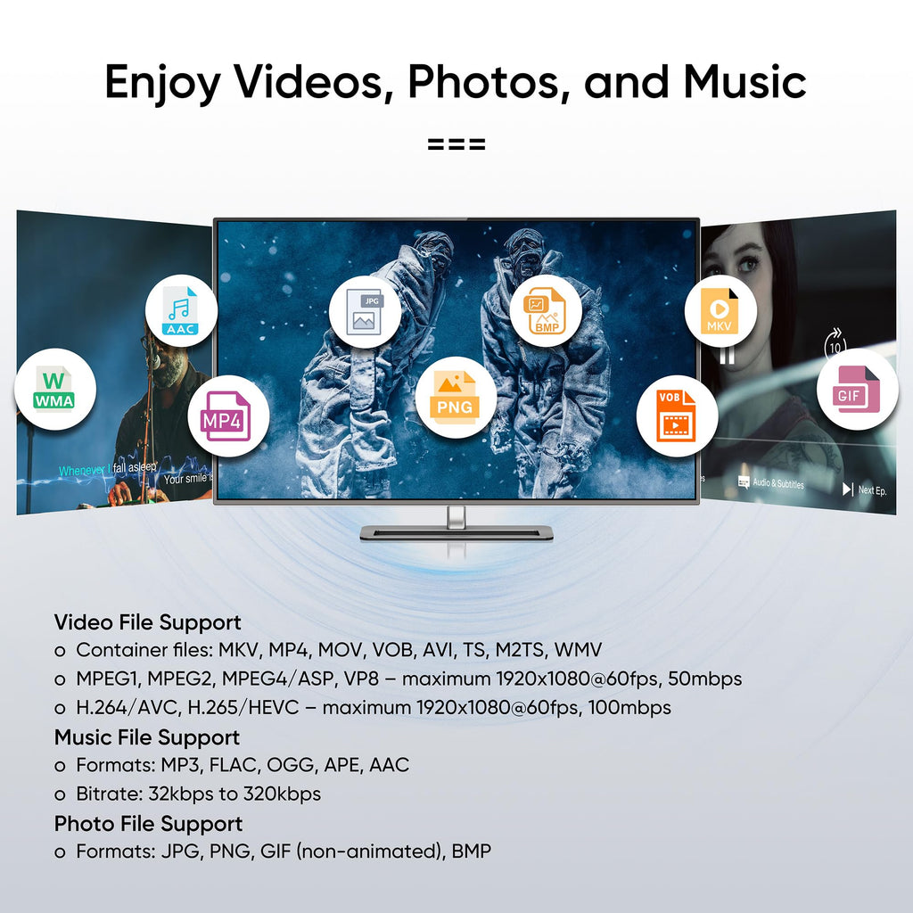 1080P Full-HD Digital Media Player L141