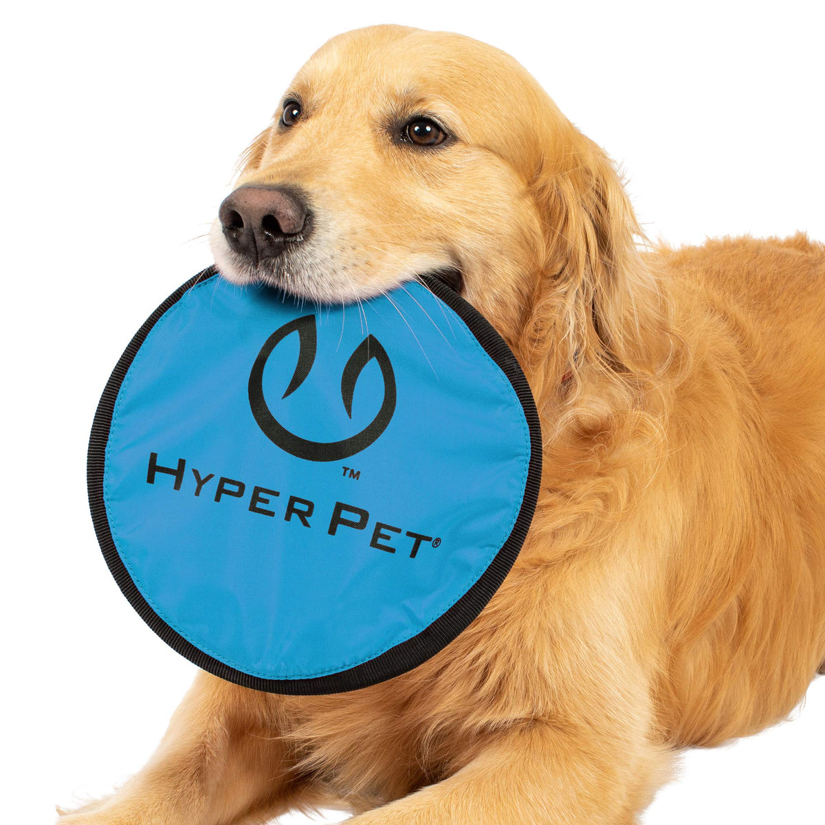 Soft Dog Toy Flying Disc 9 Inch 5 Pack V560
