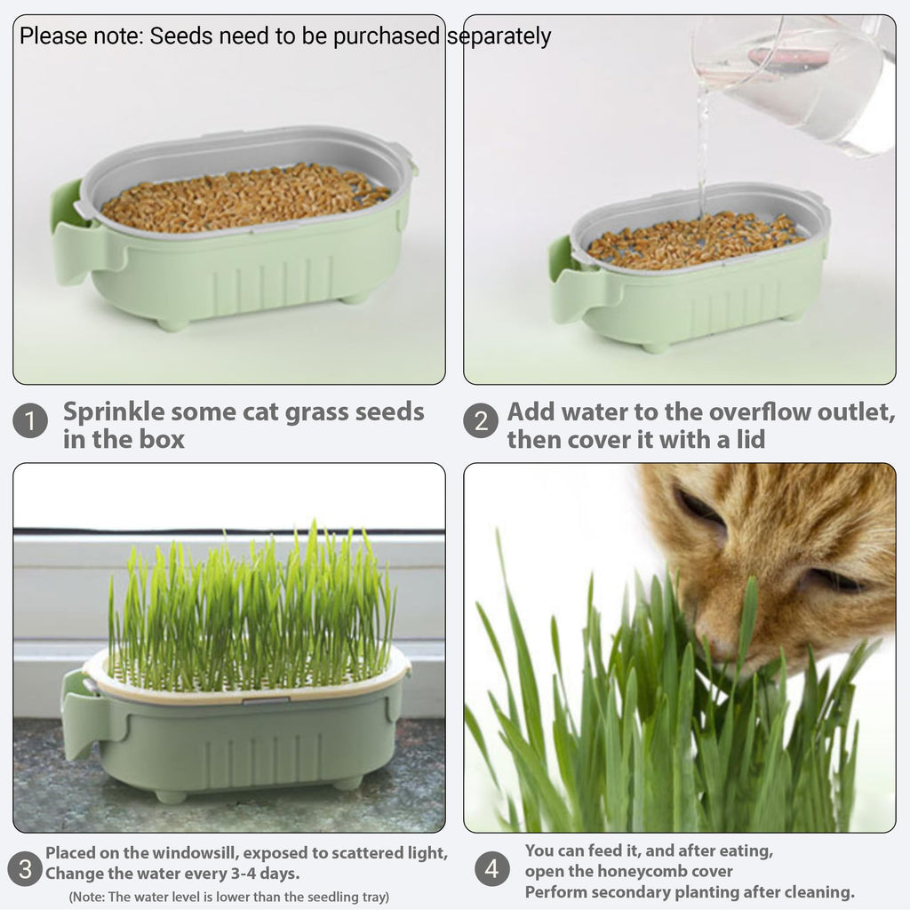 Hydroponic Cat Grass Growing Kit with Germination Tray U601593
