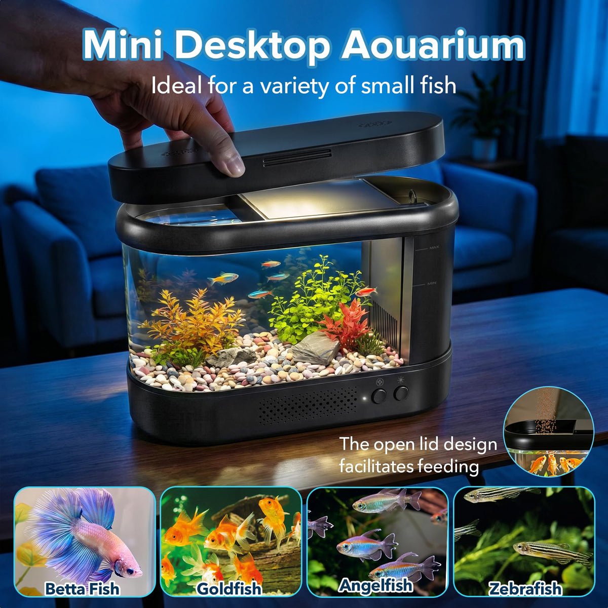 Black 1 Gallon Acrylic Aquarium Kit V74144