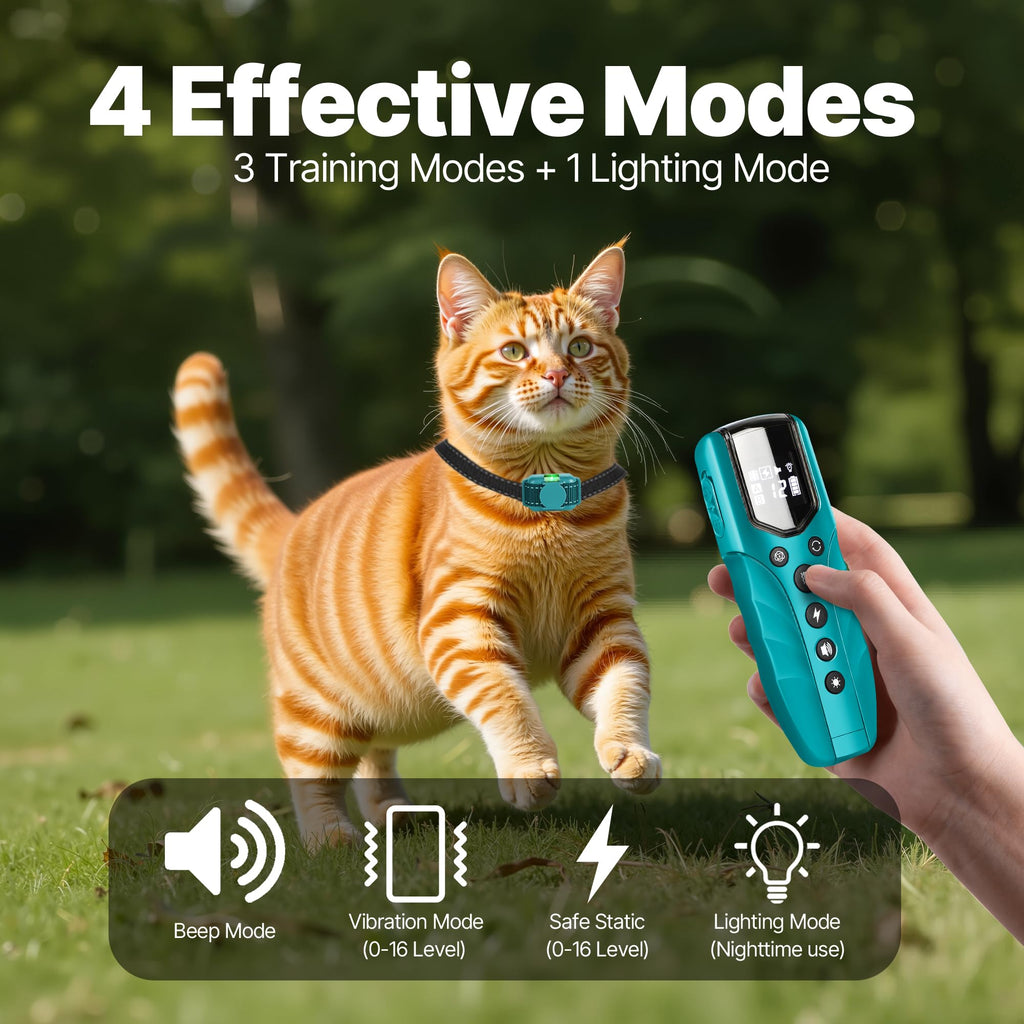 Small Cat Training Collar with Remote K686235