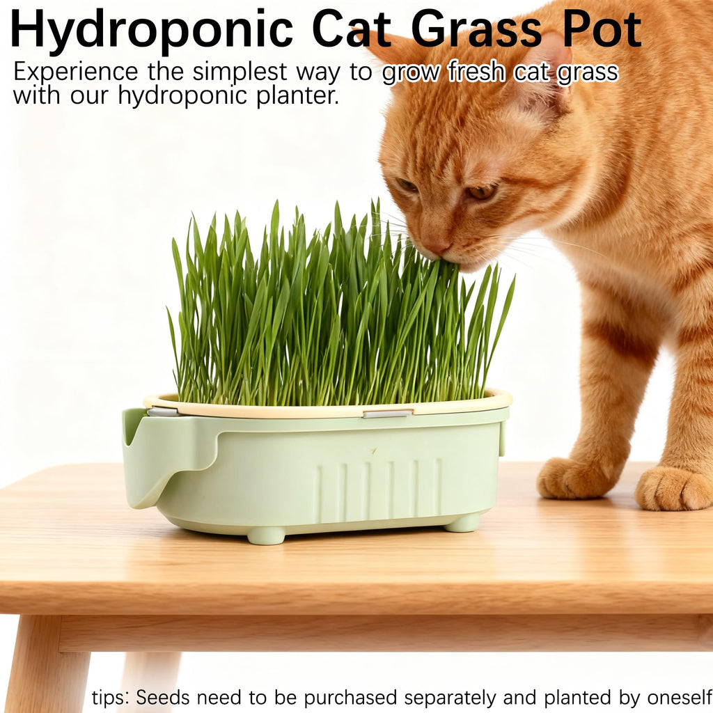 Hydroponic Cat Grass Growing Kit with Germination Tray U601593