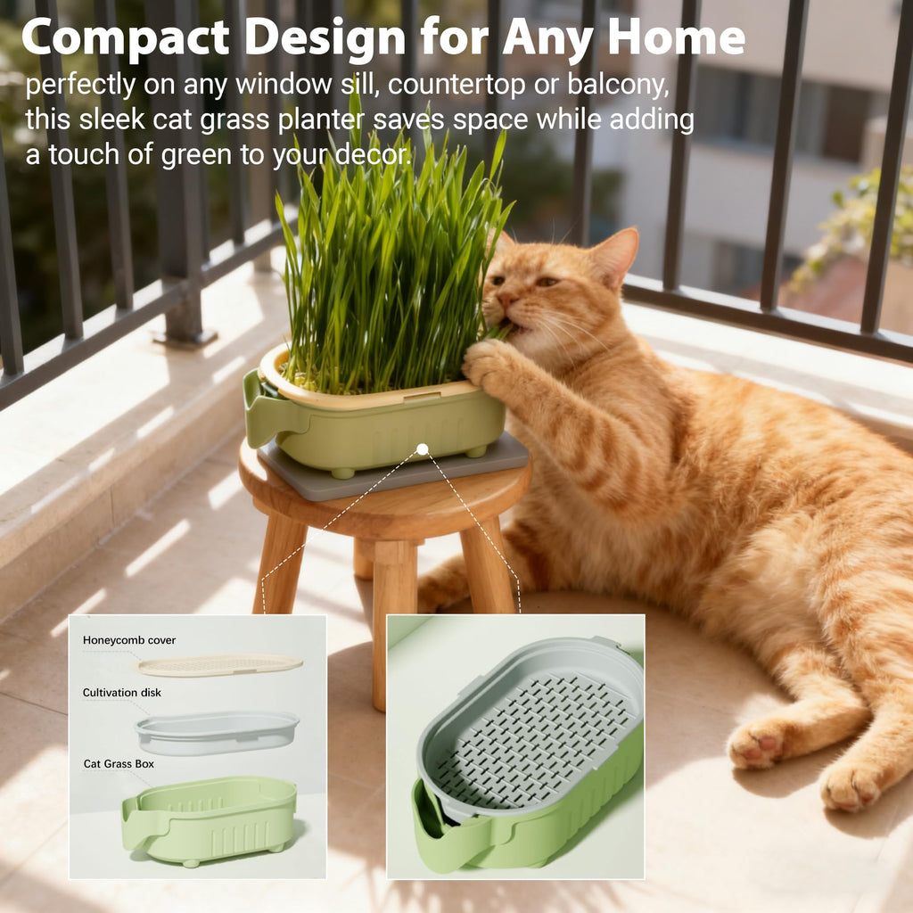 Hydroponic Cat Grass Growing Kit with Germination Tray U601593