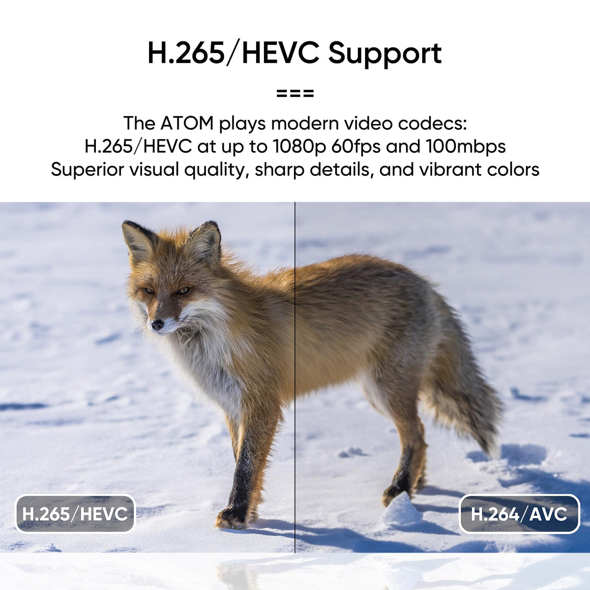 1080P Full-HD Digital Media Player L141
